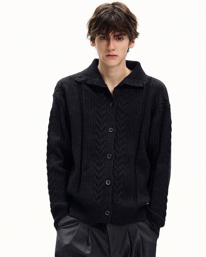 Kardigan s ovratnikom i pletenicom 